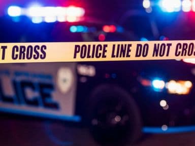 11-year-old girl arrested in fatal shooting of 15-year-old brother